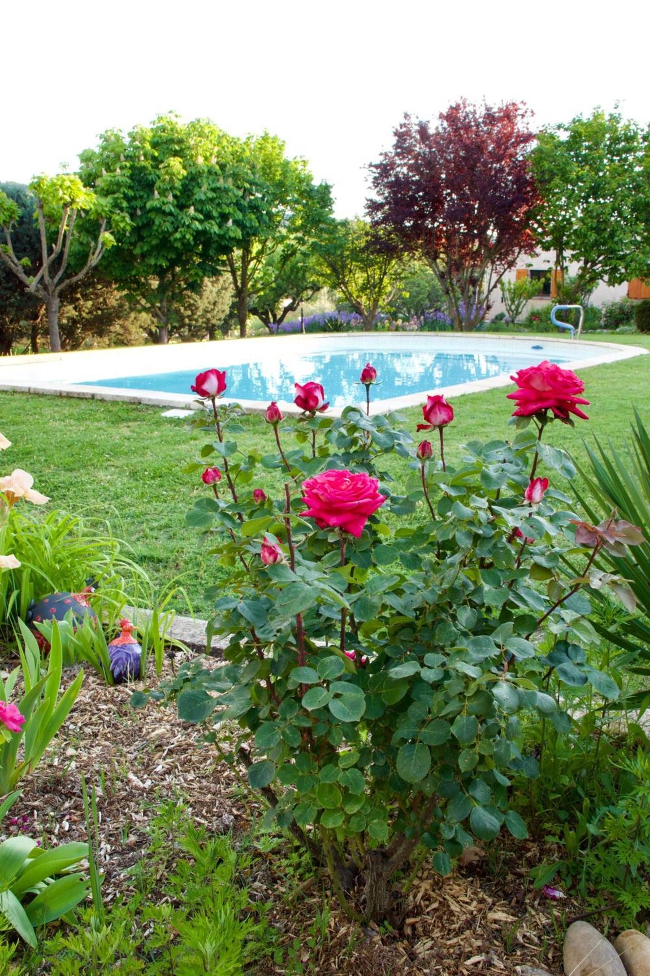La Bastide Des Roses Bed & Breakfast Saint-Julien-d'Asse Bagian luar foto