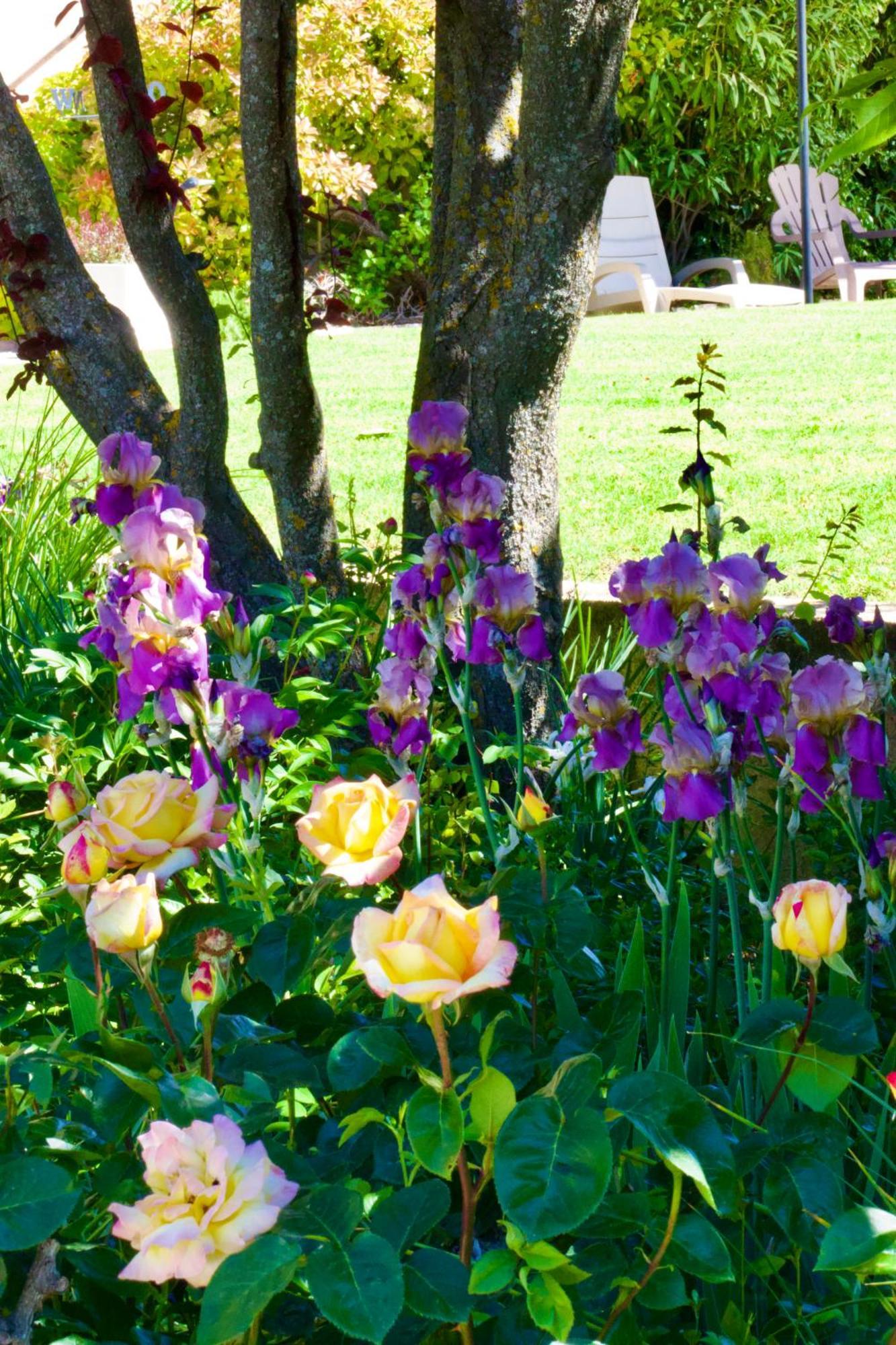 La Bastide Des Roses Bed & Breakfast Saint-Julien-d'Asse Bagian luar foto